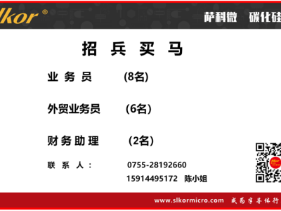 6386458935387504691247273