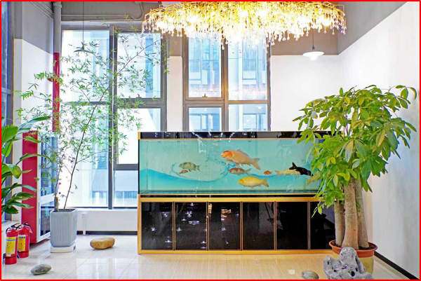 c452ad3f-47a2-4509-af78-65d5051028ae